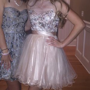 Champagne Embroidered Ballerina Dress💗